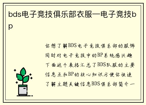 bds电子竞技俱乐部衣服—电子竞技bp